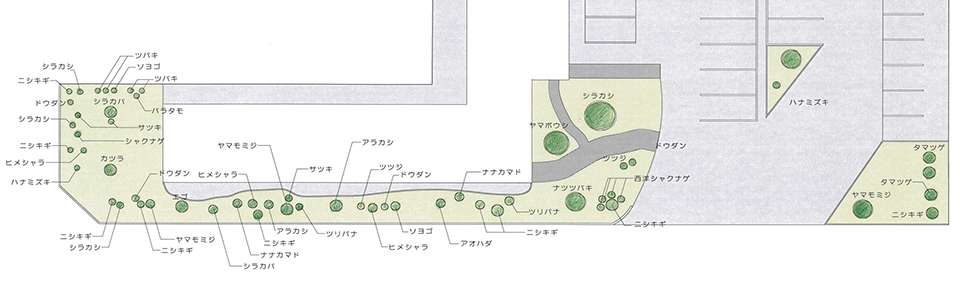 トコロテラスに植えられている木々や花々